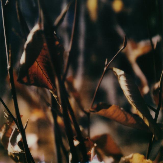 Album cover art for Bloodless
