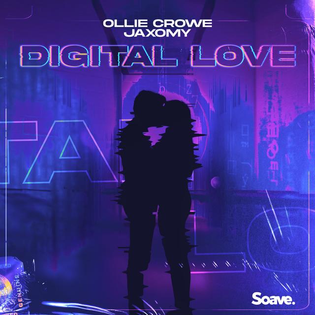Album cover art for Digital Love