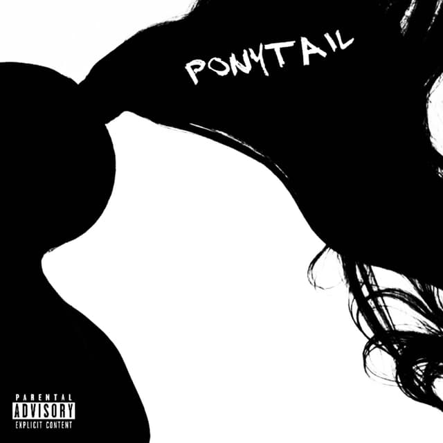 Album cover art for Ponytail