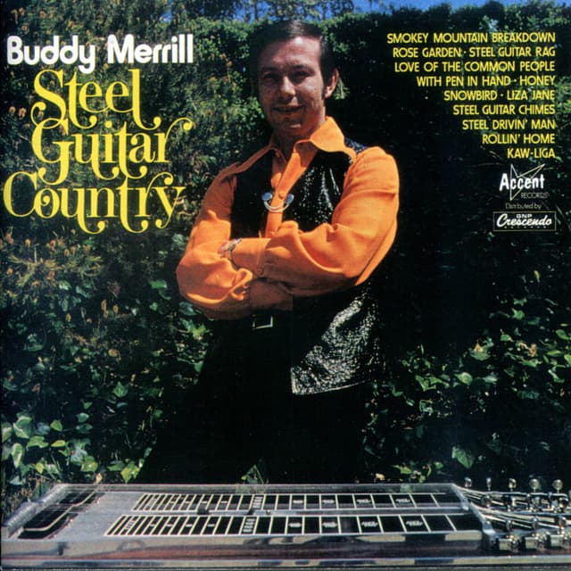 Album cover art for Steel Guitar Country
