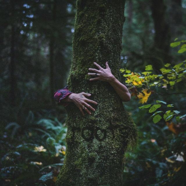 Album cover art for roots
