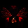 To Love So Gently