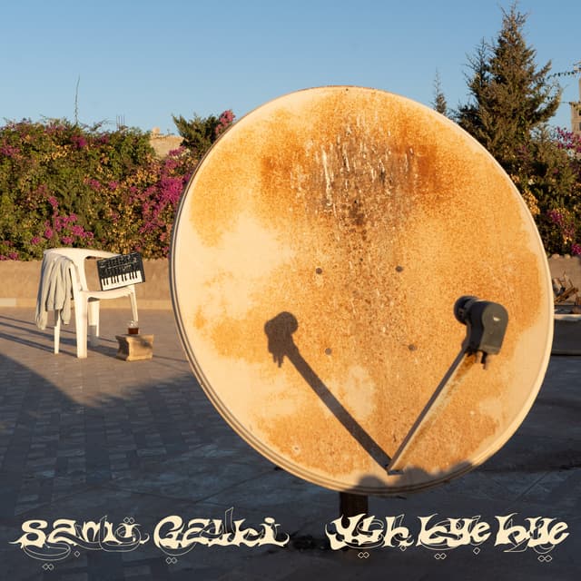 Album cover art for Ylh Bye Bye