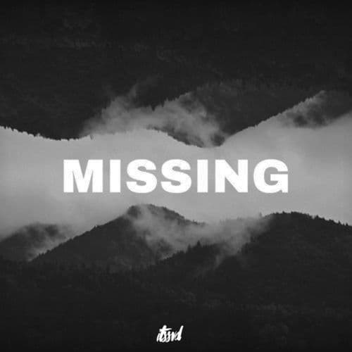 Album cover art for Missing
