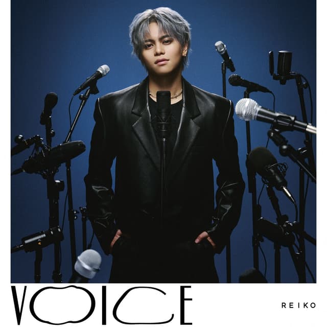 Album cover art for VOICE
