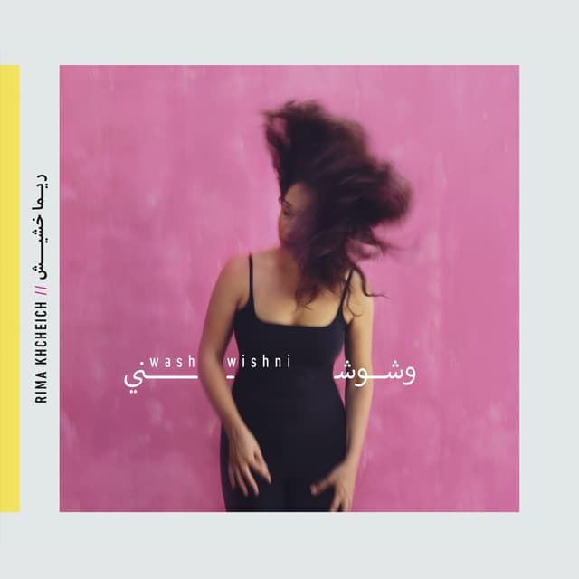 Album cover art for Washwishni