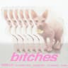 bitches [Remix]
