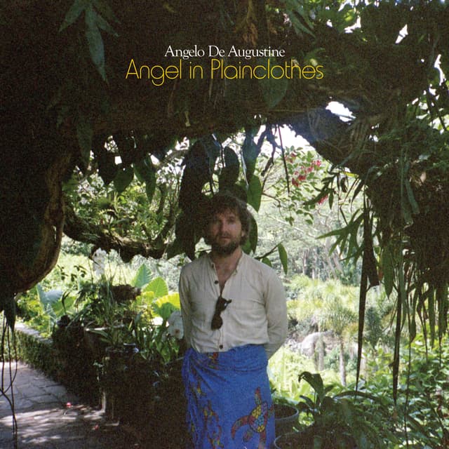 Album cover art for Angel in Plainclothes