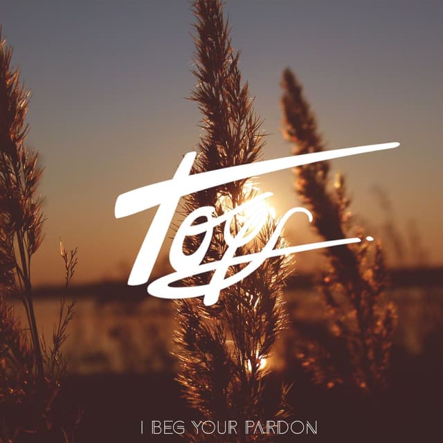 Album cover art for I Beg Your Pardon