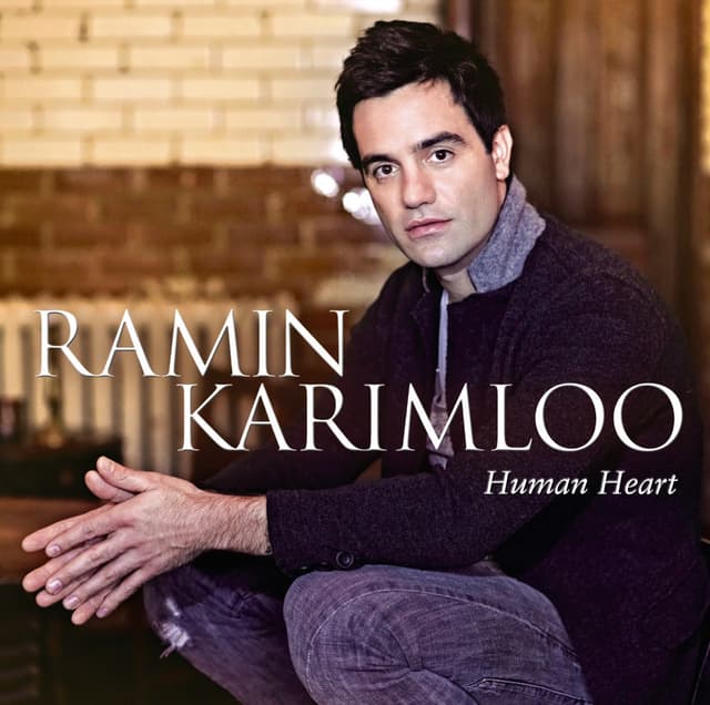 Album cover art for Human Heart