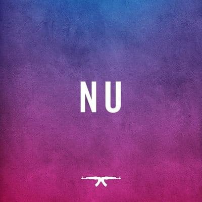 Album cover art for Nu