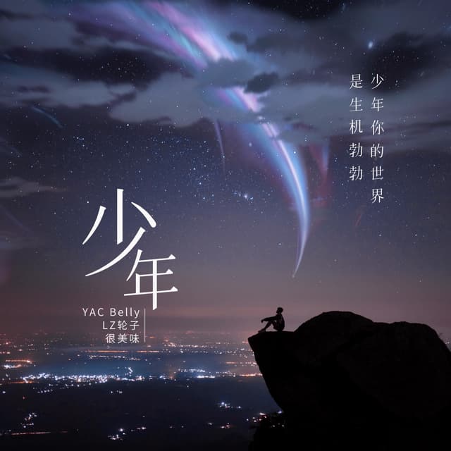 Album cover art for 少年