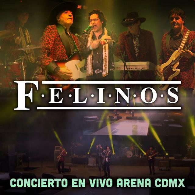 Album cover art for Felinos Concierto