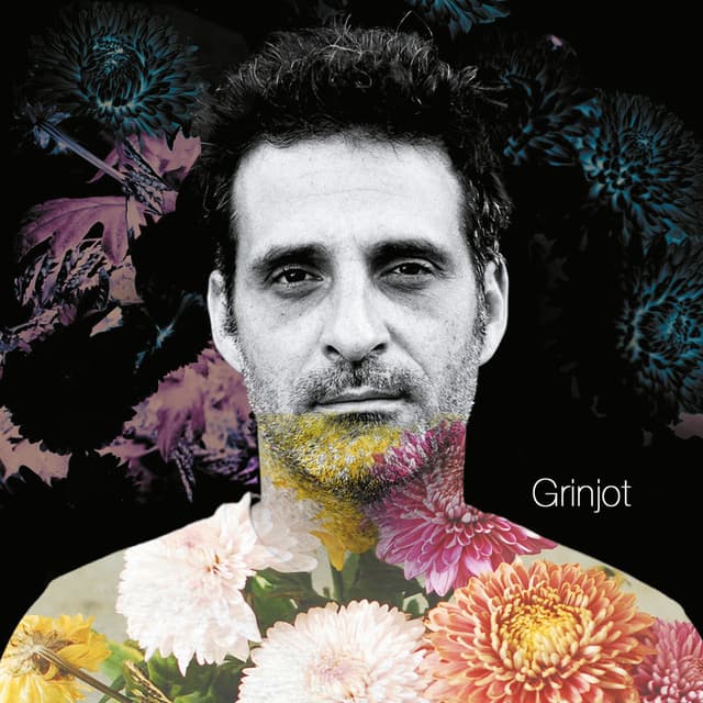 Album cover art for Grinjot