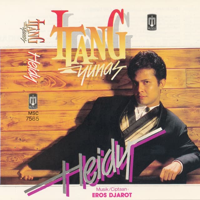 Album cover art for Heidy