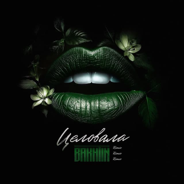 Album cover art for Целовала Remix