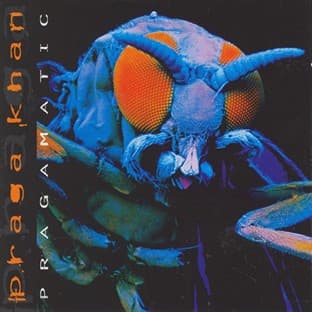 Album cover art for Pragamatic