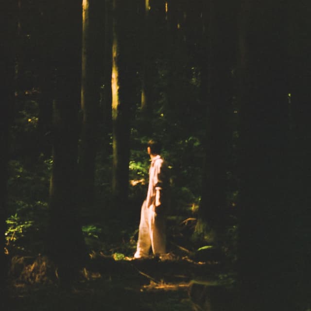 Album cover art for Into the Green