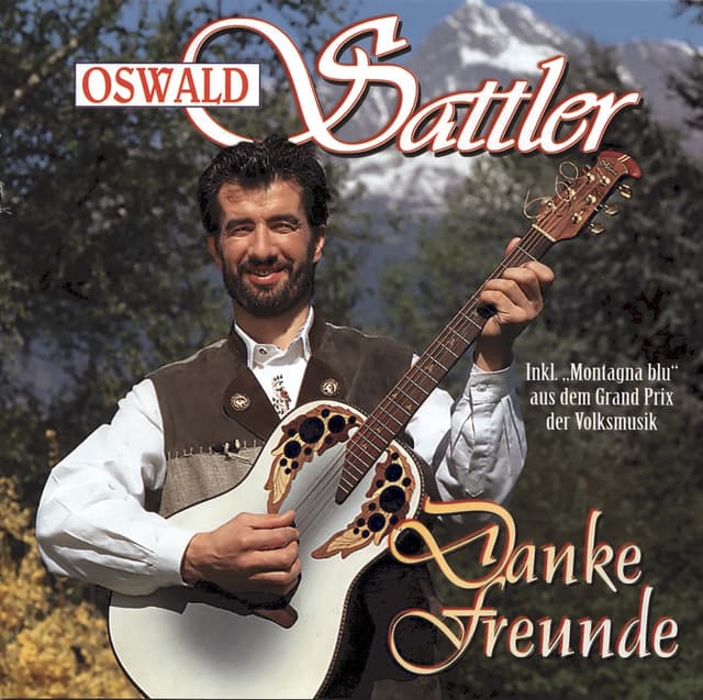 Album cover art for Danke Freunde