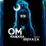 Om Namah Shivaya