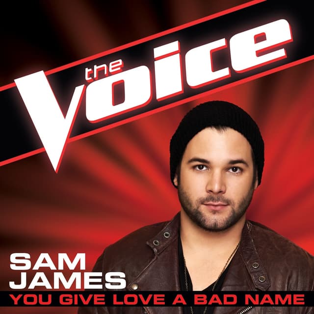 Album cover art for You Give Love A Bad Name