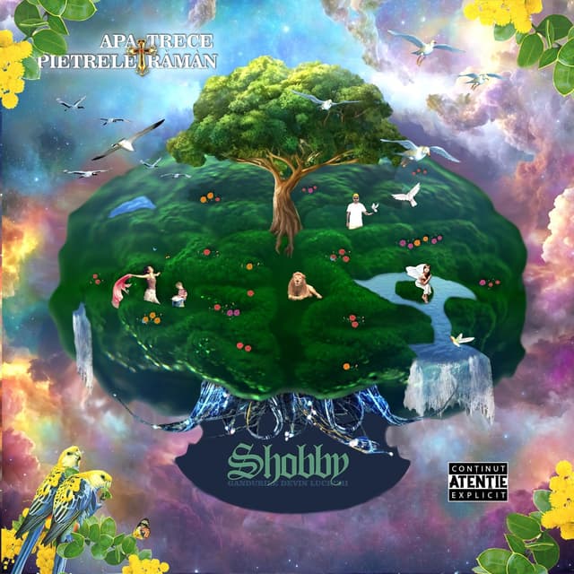 Album cover art for Apa trece, pietrele raman