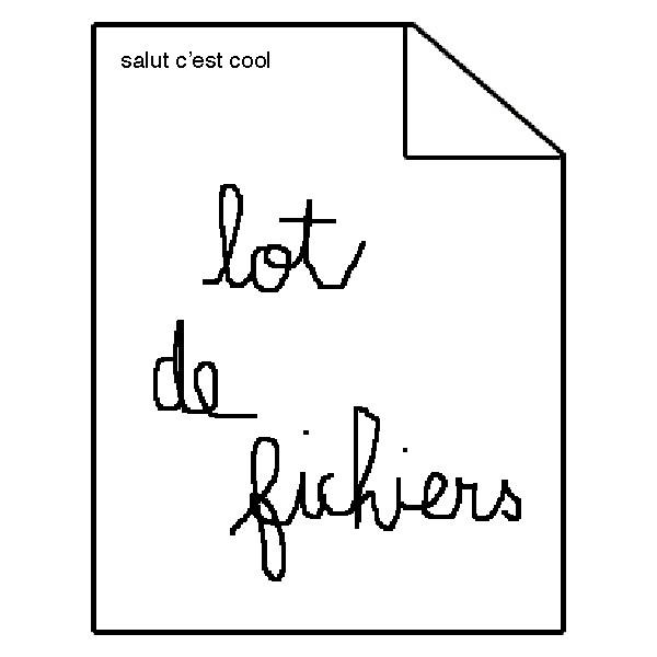 Album cover art for Lot de Fichiers