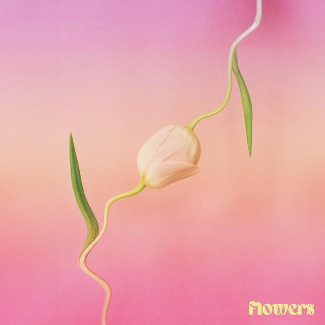 Album cover art for Flowers - Single