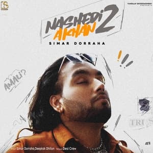 Album cover art for Nashedi Akhan 2