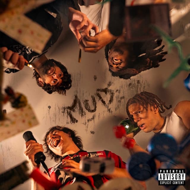 Album cover art for MUD