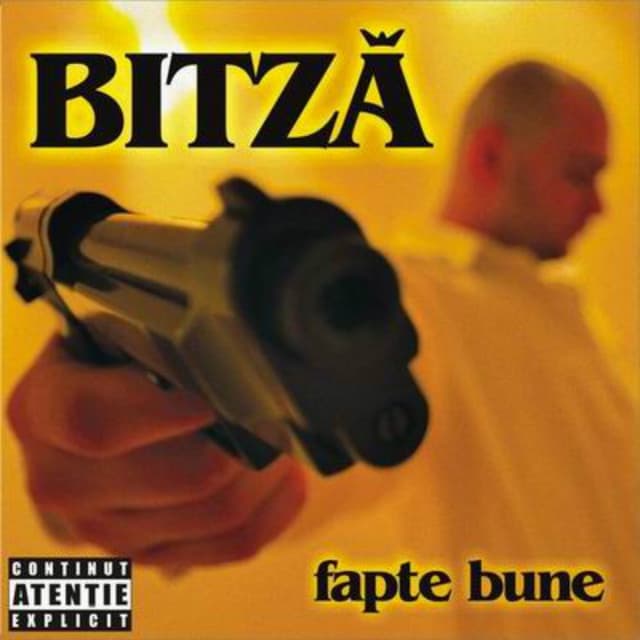 Album cover art for Fapte Bune