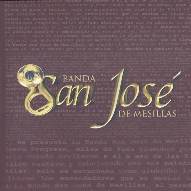 Album cover art for ¿En Qué Te Fallé?