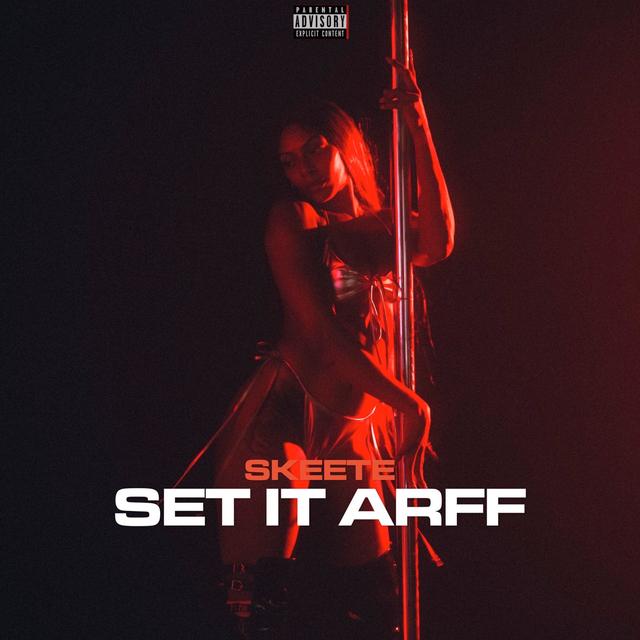 Album cover art for Set It Arff