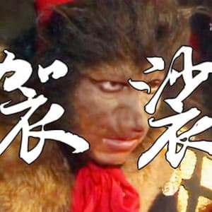 Album cover art for 袈裟