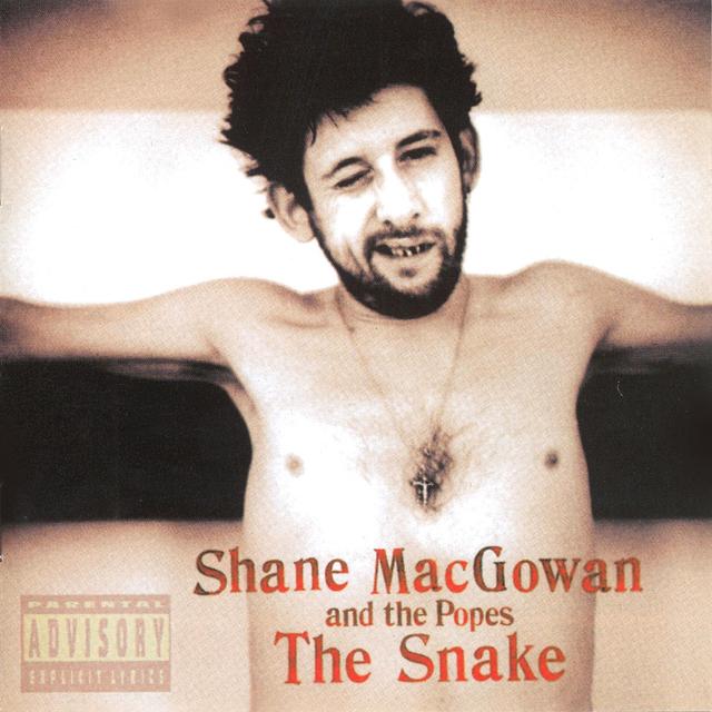 Album cover art for The Snake