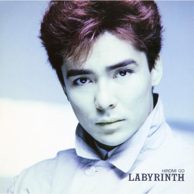 Album cover art for Labyrinth
