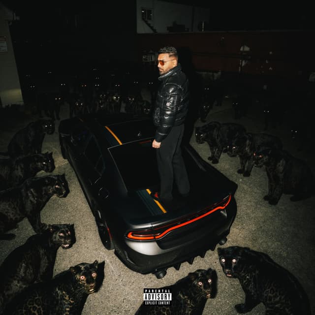 Album cover art for Majhaestic
