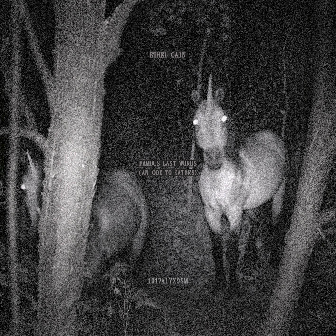 Lyric cover art