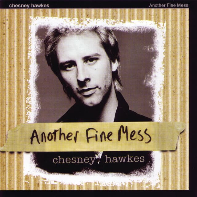 Album cover art for Another Fine Mess