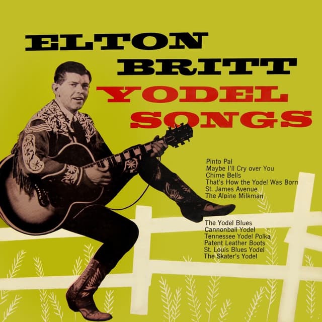 Album cover art for Yodel Songs