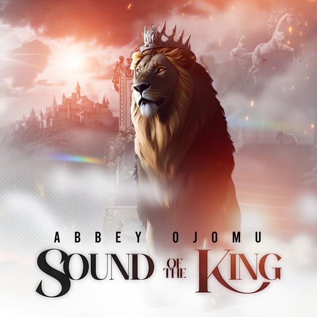 Album cover art for Sound of the King