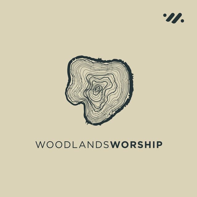 Album cover art for Restore the Years (live)
