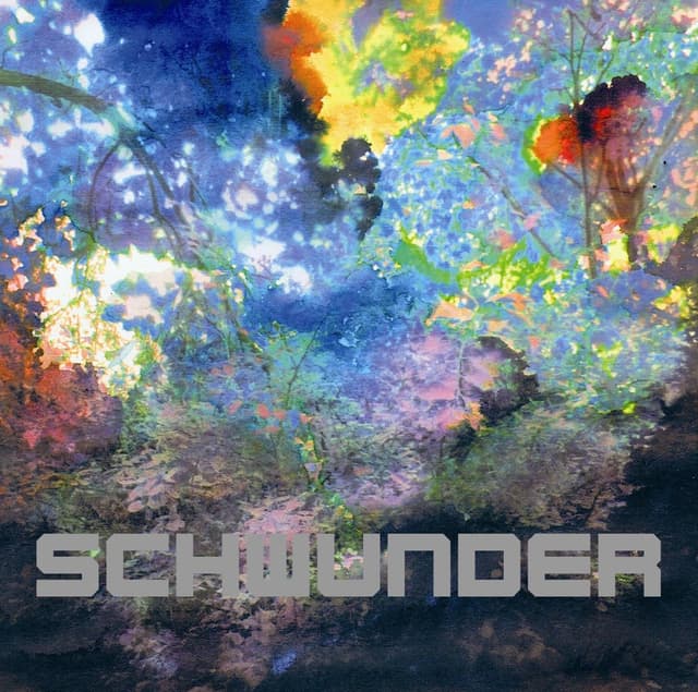 Album cover art for Schwunder