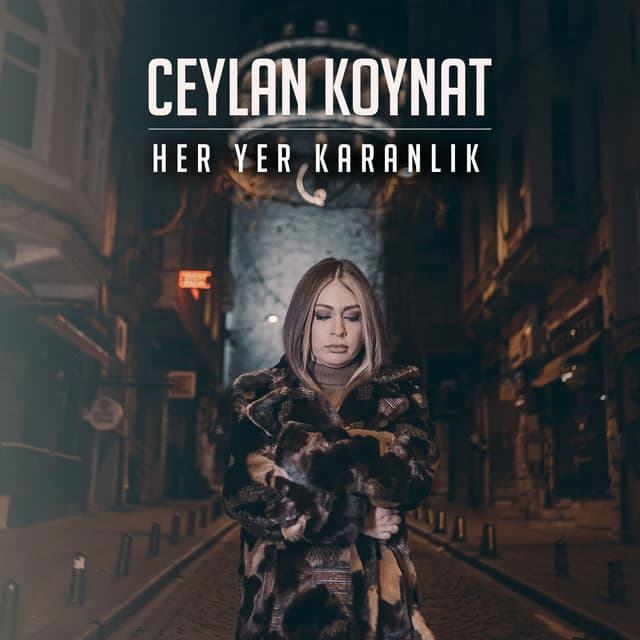 Album cover art for Her Yer Karanlık