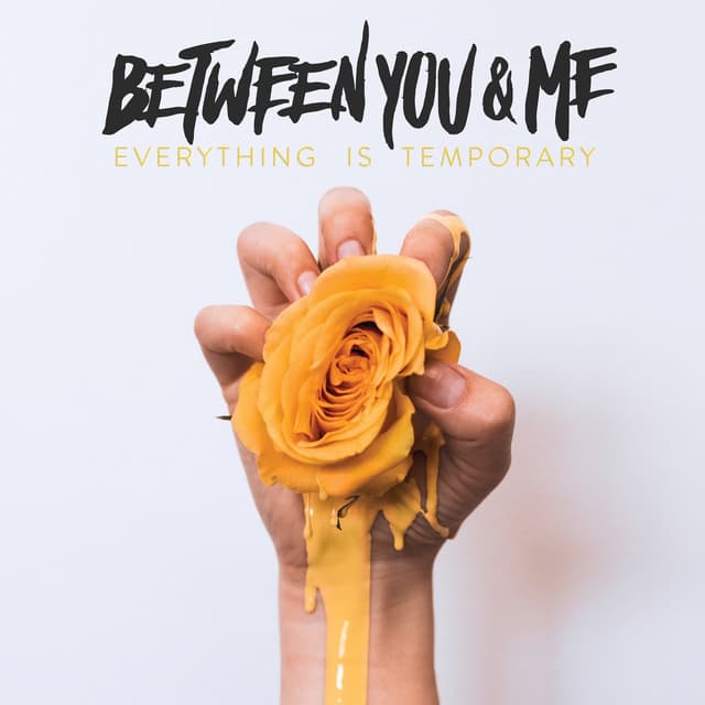 Album cover art for Everything Is Temporary
