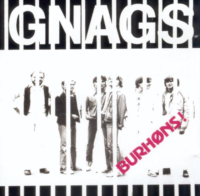Album cover art for Burhøns