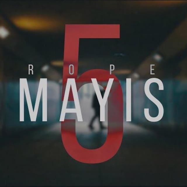Album cover art for Mayıs 5