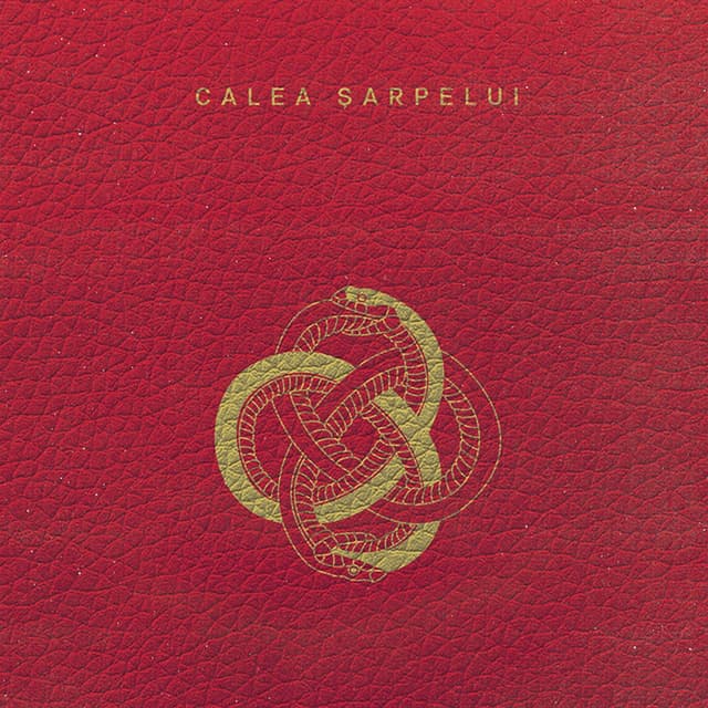 Album cover art for Calea sarpelui