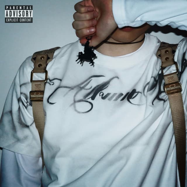 Album cover art for AUDIO
