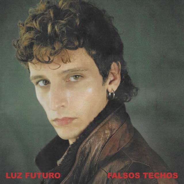 Album cover art for Falsos techos